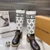 Louis Vuitton Shoes for Women's Louis Vuitton boots #A68859