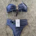 2025 new style Celine swimsuit fashionable sexy women swimwear #B45901