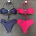 2025 new style Celine swimsuit fashionable sexy women swimwear #B45901