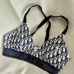 2025 new style Dior swimsuit fashionable sexy women swimwear #B45954