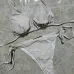 2025 new style Gucci swimsuit fashionable sexy women swimwear #B45949