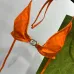 Gucci bikini #B65876